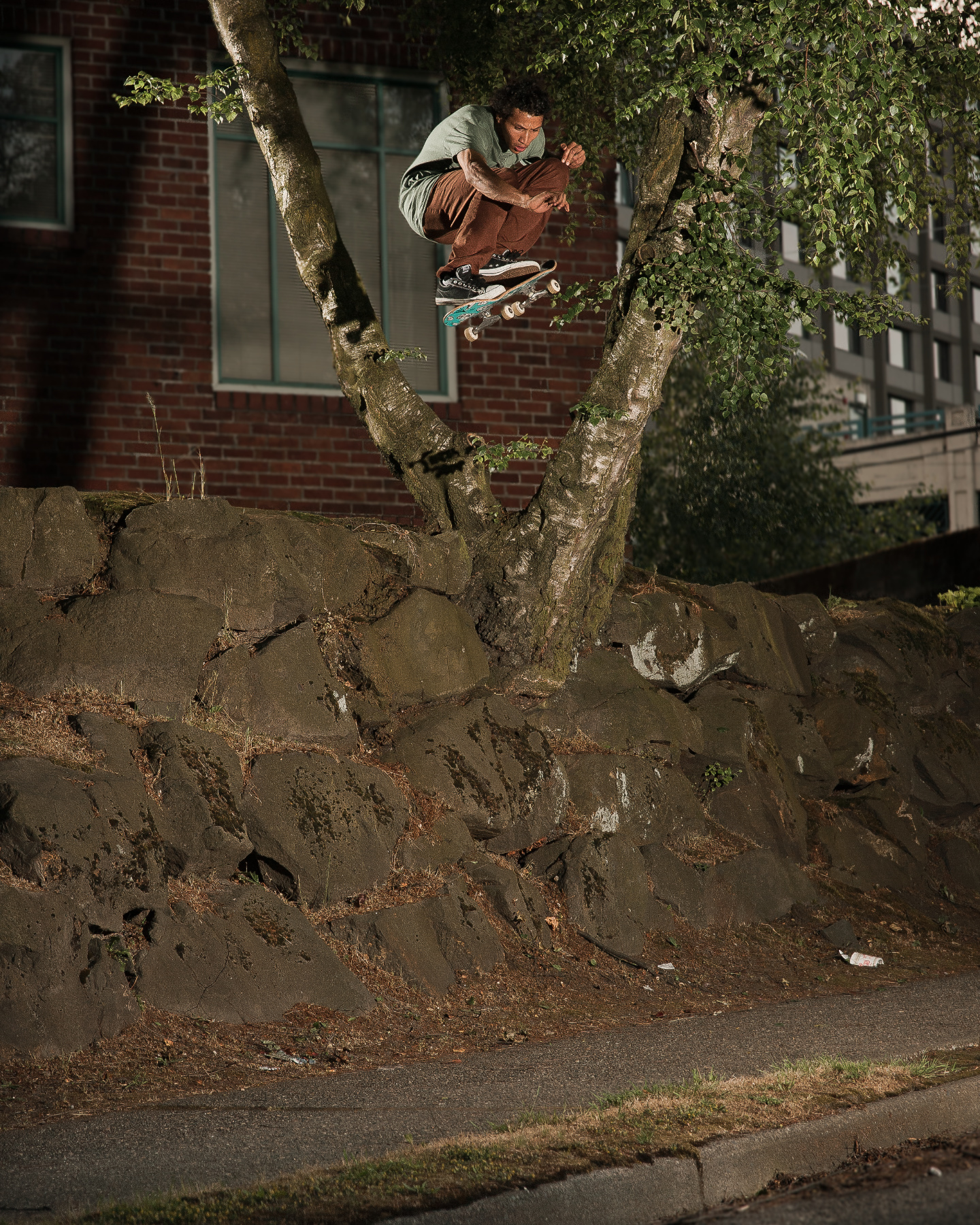 Bobby Dodd - Ollie - Seattle, WA