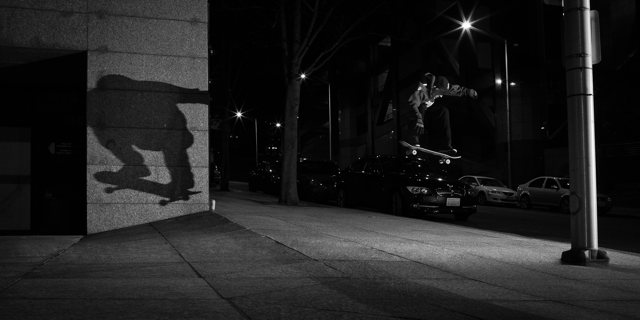 David Perry - Ollie - Seattle, WA